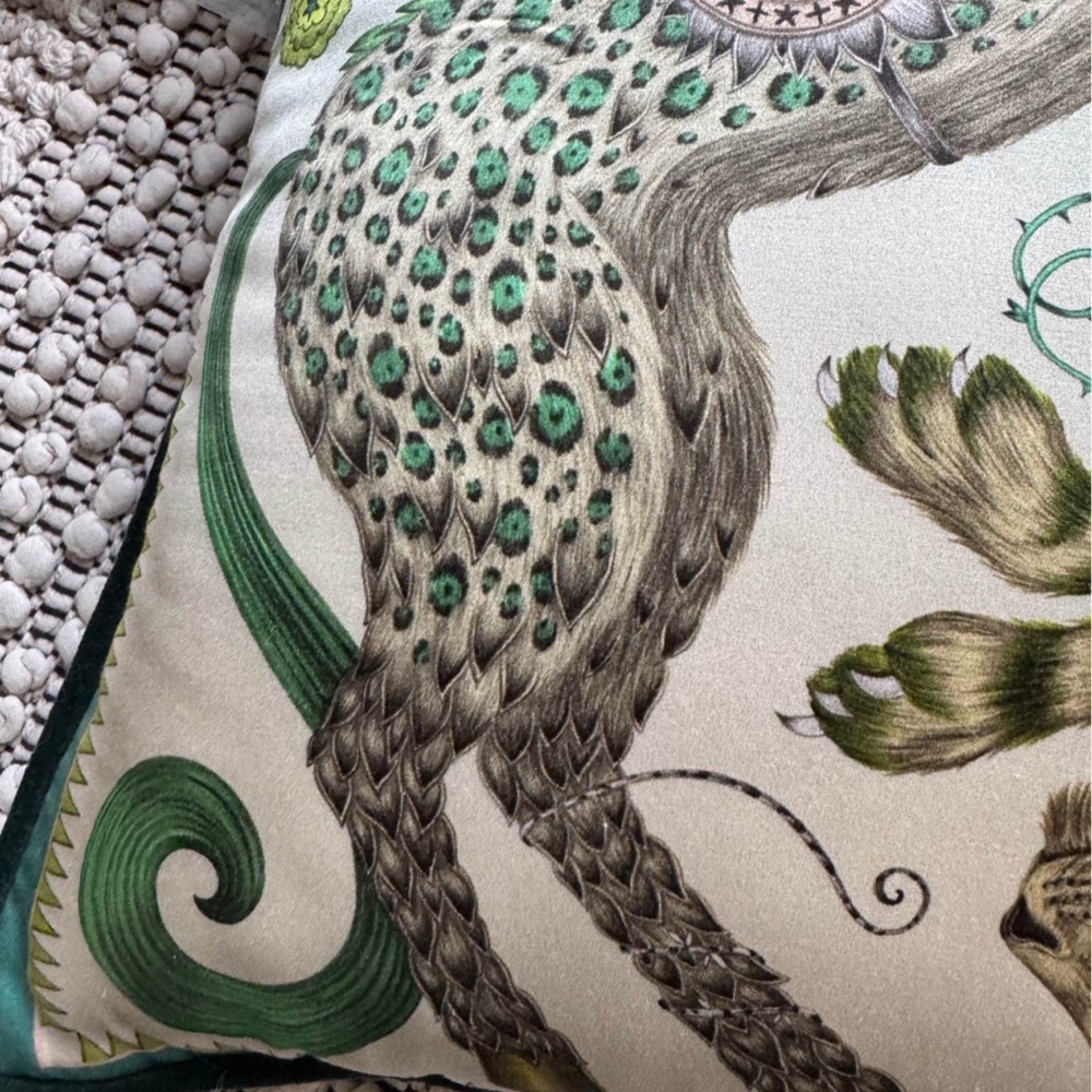 Emma J Shipley designer velvet throw pillow - Picture 3 of 8